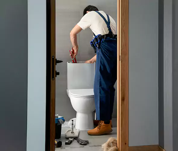 Professional Plumbers for Toilet Bowl Replacement in Carrollton, TX: Schedule Affordable Toilet Replacement Services With Us